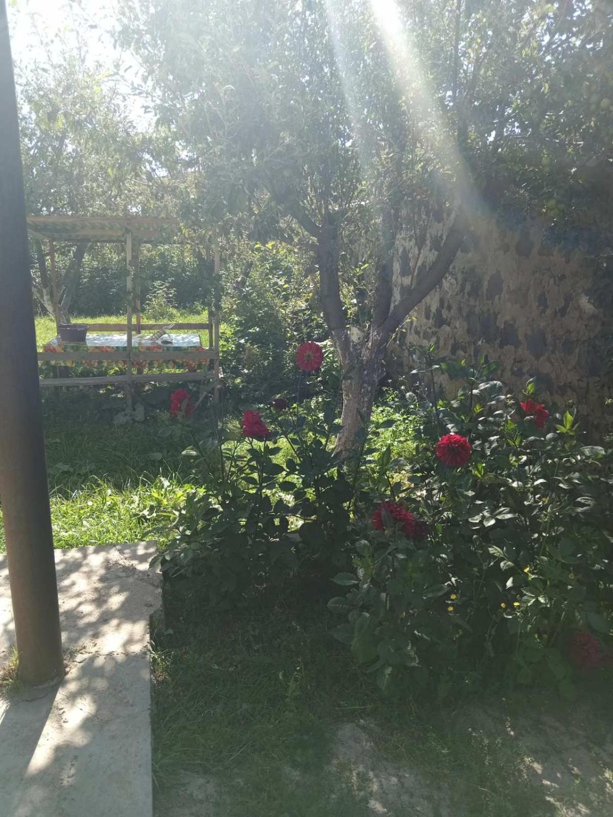 Family House Sevan